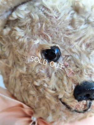 画像5: アンティークテディベア