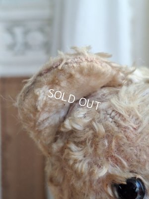 画像12: アンティークテディベア