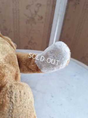 画像16: JPMフレンチテディベア