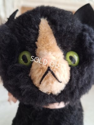 画像3: フレンチ猫