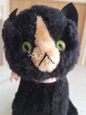 画像2: フレンチ猫