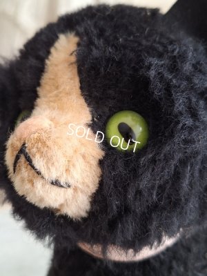 画像4: フレンチ猫