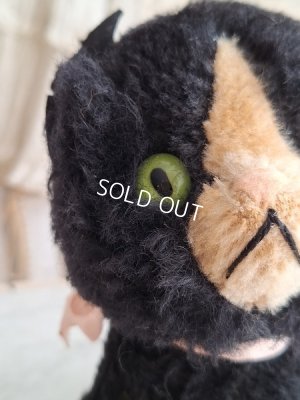 画像5: フレンチ猫