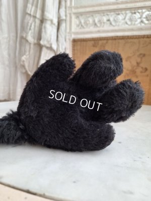 画像6: フレンチ猫