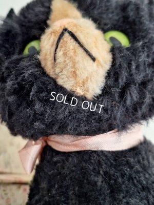 画像8: フレンチ猫