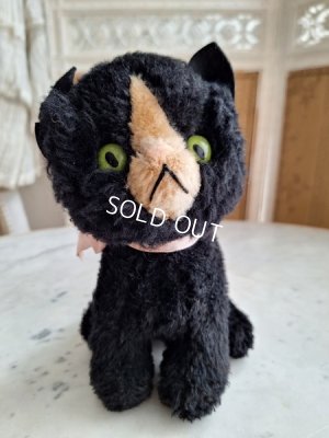 画像11: フレンチ猫