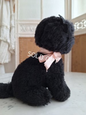 画像12: フレンチ猫