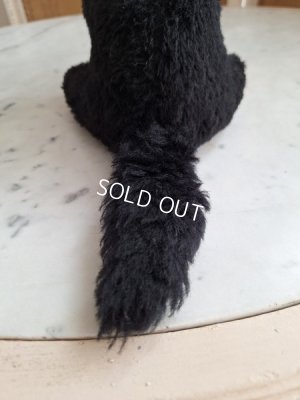 画像10: フレンチ猫