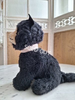 画像14: フレンチ猫