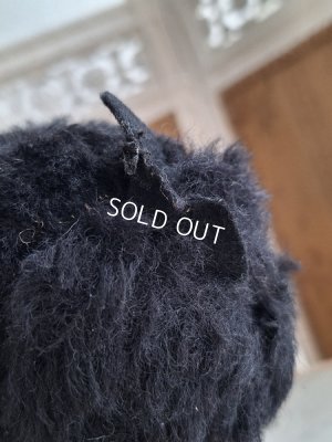 画像15: フレンチ猫