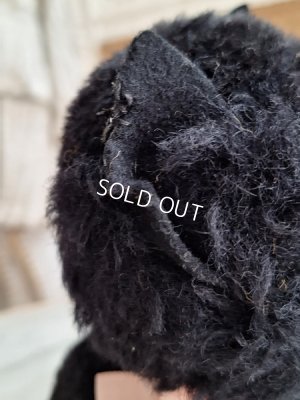 画像16: フレンチ猫