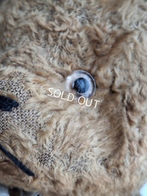 画像4: JPMテディベア