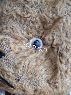 画像5: JPMテディベア