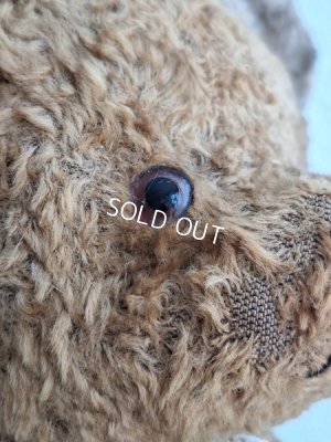 画像14: JPMテディベア