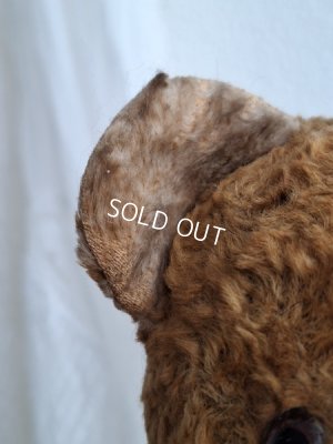 画像7: JPMテディベア