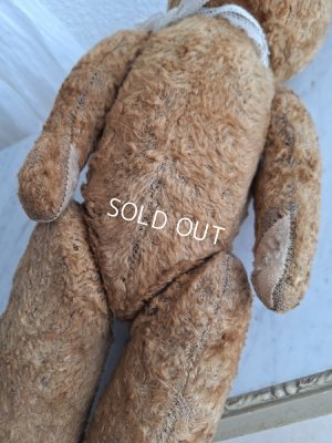 画像16: JPMテディベア