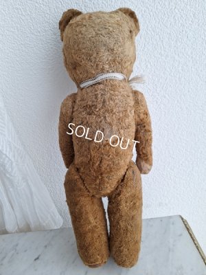 画像13: JPMテディベア