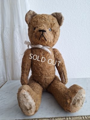 画像6: JPMテディベア