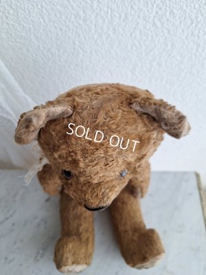 画像9: JPMテディベア