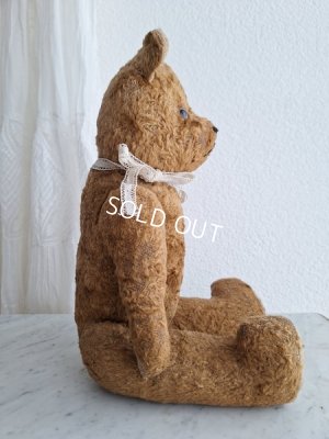 画像12: JPMテディベア