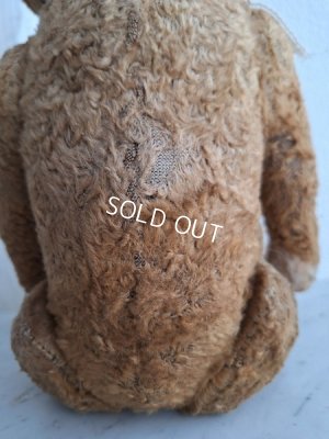 画像20: JPMテディベア