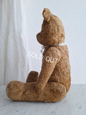 画像11: JPMテディベア