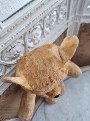 画像11: アンティークテディベア