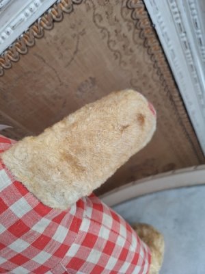 画像14: アンティークテディベア