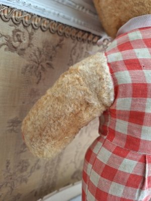 画像15: アンティークテディベア