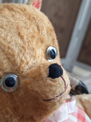 画像6: アンティークテディベア