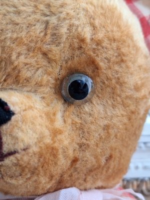 画像5: アンティークテディベア