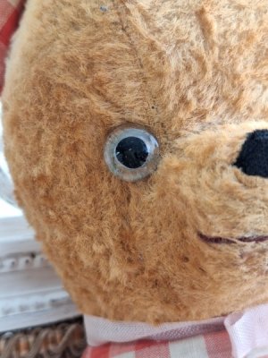 画像4: アンティークテディベア