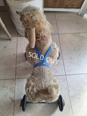 画像4: 車輪付きアンティークプードル