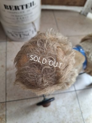 画像8: 車輪付きアンティークプードル