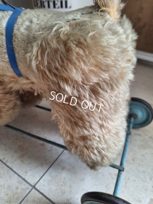 画像9: 車輪付きアンティークプードル