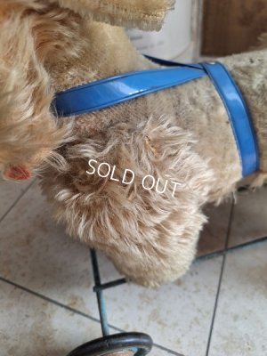 画像10: 車輪付きアンティークプードル