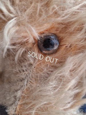 画像16: 車輪付きアンティークプードル