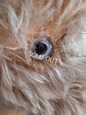 画像3: 車輪付きアンティークプードル