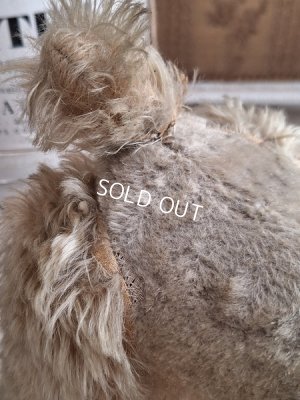 画像13: 車輪付きアンティークプードル