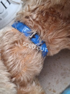 画像14: 車輪付きアンティークプードル