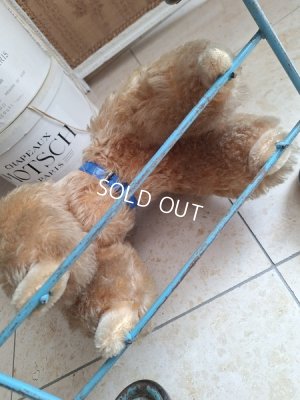 画像15: 車輪付きアンティークプードル