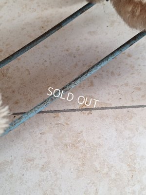 画像17: 車輪付きアンティークプードル