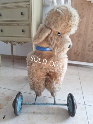 画像18: 車輪付きアンティークプードル