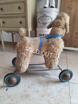 画像20: 車輪付きアンティークプードル