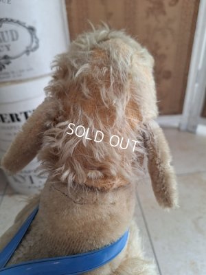 画像23: 車輪付きアンティークプードル