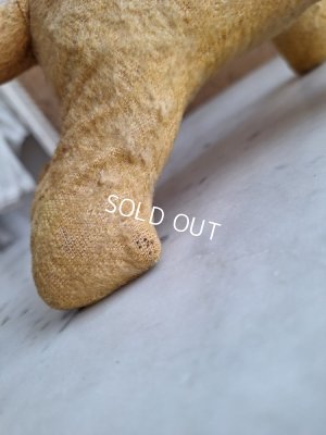 画像11: フレンチドッグ