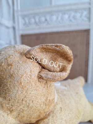 画像7: フレンチドッグ