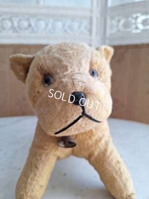 画像2: フレンチドッグ