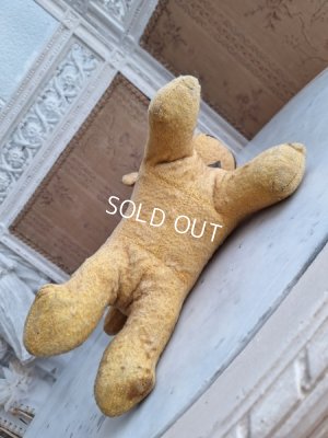 画像12: フレンチドッグ