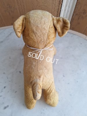 画像9: フレンチドッグ